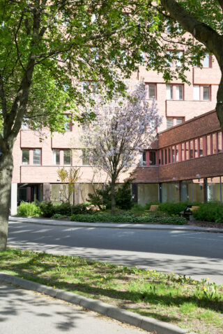 Tegen 6